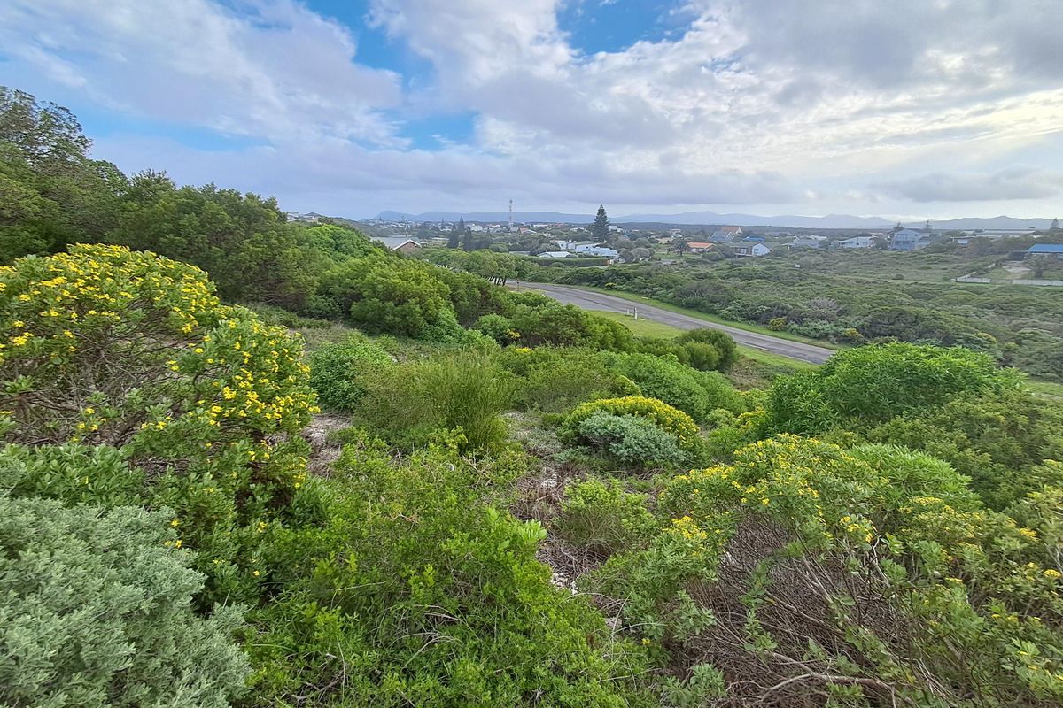 A scenic elevated view overlooking the surrounding coastal landscape, native vegetation, and distant residential area.