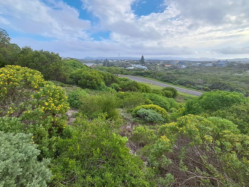 A scenic elevated view overlooking the surrounding coastal landscape, native vegetation, and distant residential area.