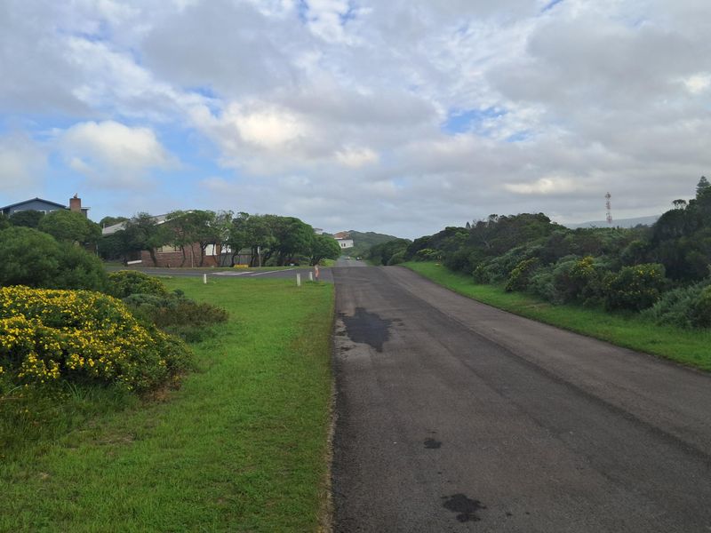 A view of the asphalt street and surrounding natural vegetation leading towards the residential area.