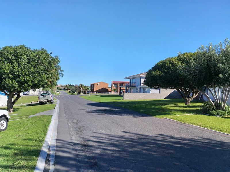 A clear street view of a residential neighborhood featuring paved roads, well-maintained grass verges, and mature trees under a clear blue sky.