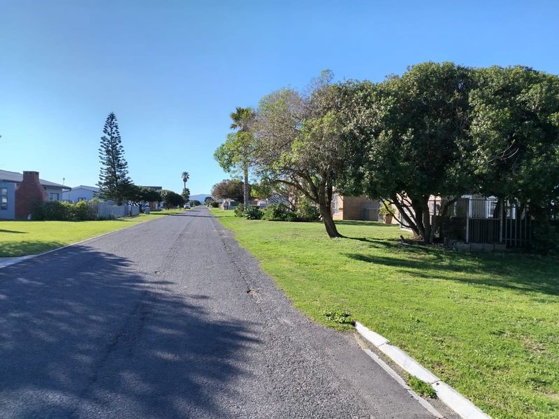 A clear street view showing the asphalt road, concrete curbing, and established trees in a residential neighborhood setting.