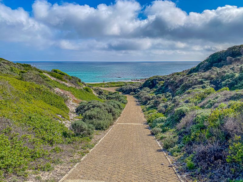A scenic view of a paved walkway leading through coastal vegetation towards the ocean and beach.