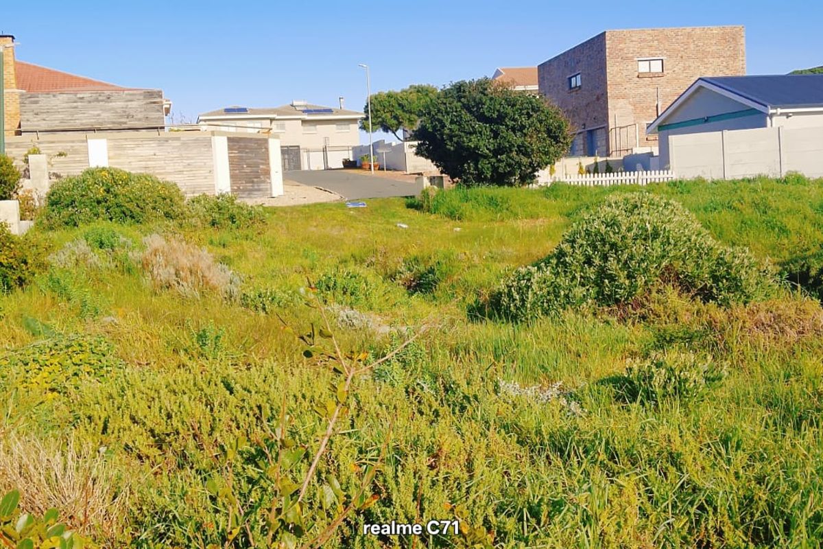 A vacant residential plot featuring natural vegetation, enclosed by boundary walls and fencing, situated within an established neighborhood.