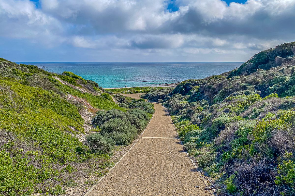 A scenic view of a paved walkway leading through coastal vegetation towards the ocean and beach.
