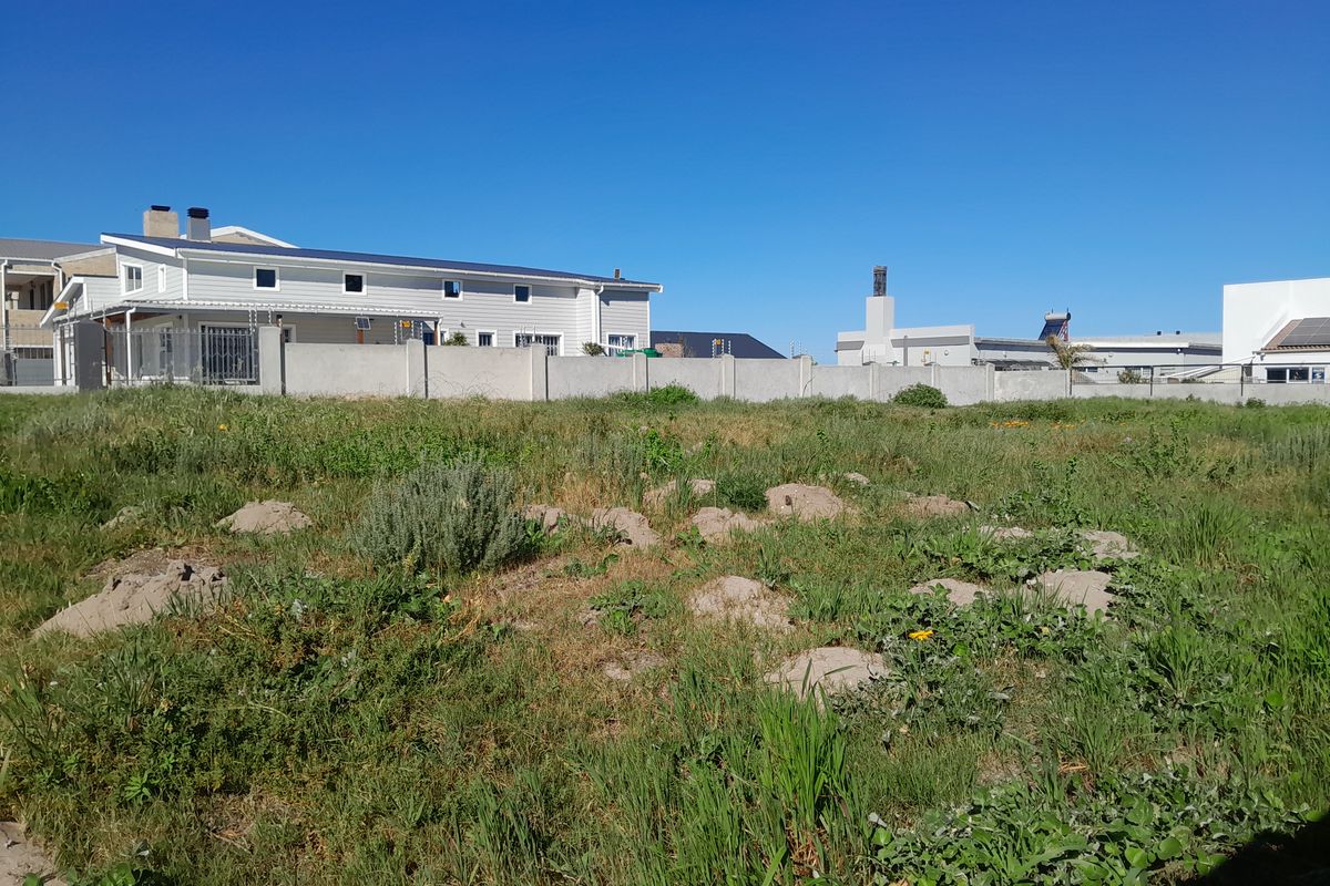 A vacant residential plot featuring natural vegetation and a perimeter boundary wall, offering a clear space for future development.
