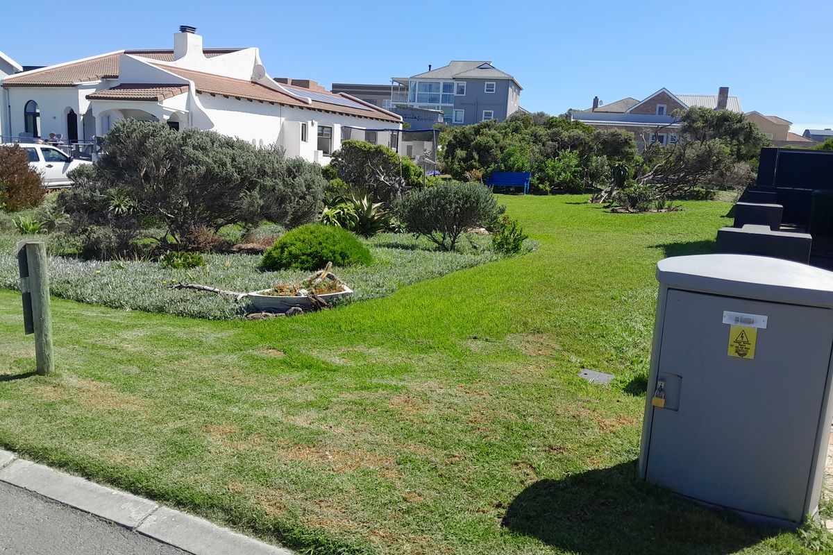 A well-maintained residential garden area featuring established shrubs, lawn, and a street-side electrical utility box.