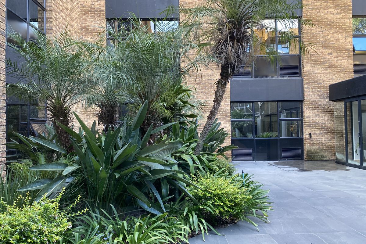 A well-maintained outdoor courtyard area featuring paved flooring, established garden beds with tropical plants, and large glass-paneled office building facades.