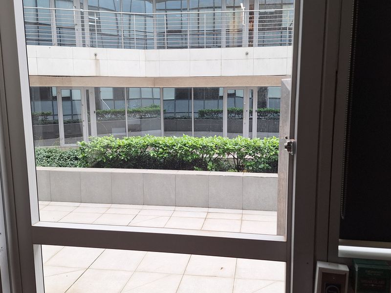 View from an office interior looking out onto a paved rear patio area with a raised planter box and modern glass building facade.