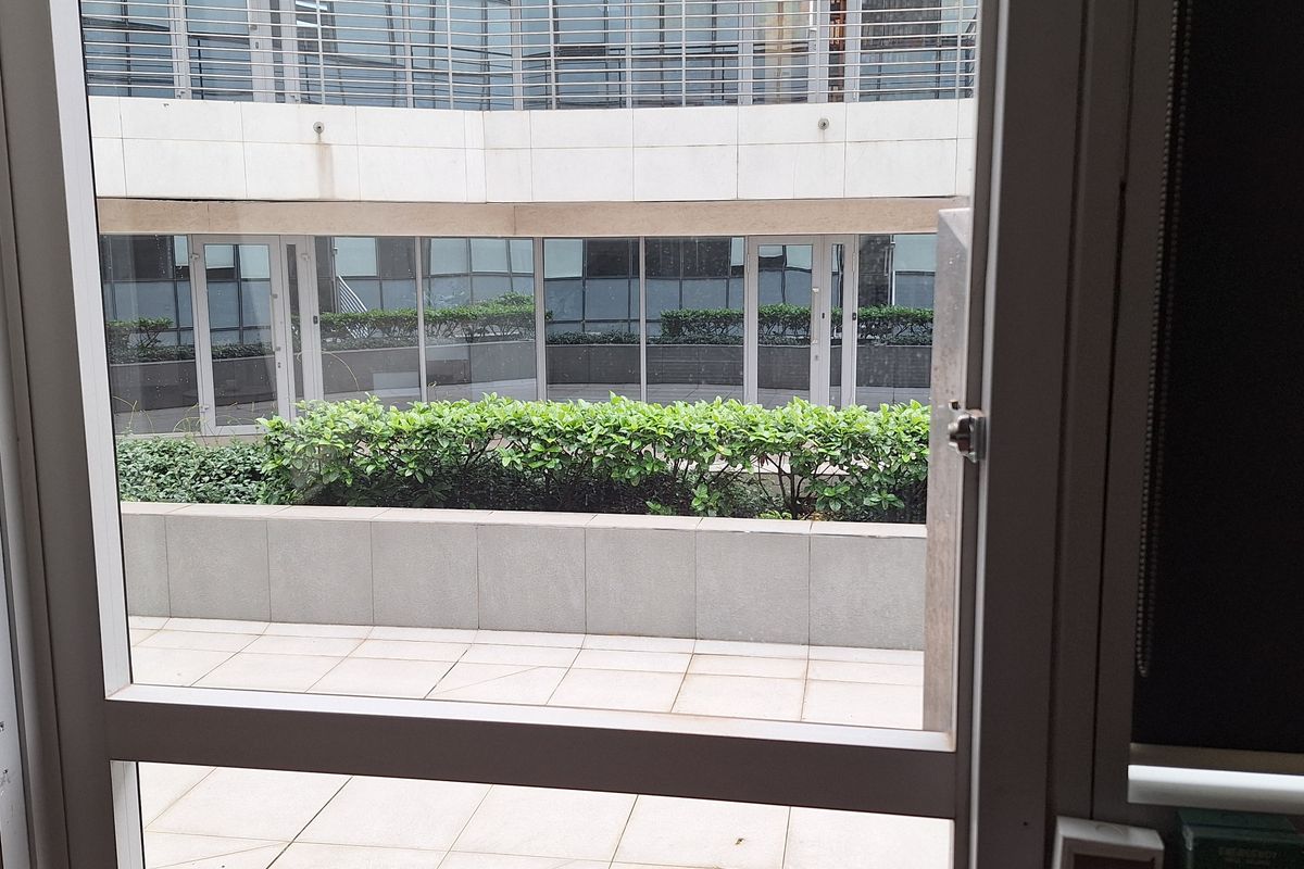 View from an office interior looking out onto a paved rear patio area with a raised planter box and modern glass building facade.