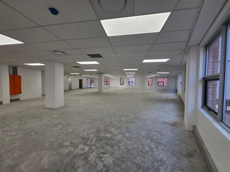 A large, open-plan office space featuring a suspended ceiling with recessed lighting, structural columns, and unfinished concrete flooring, ready for custom fit-out.