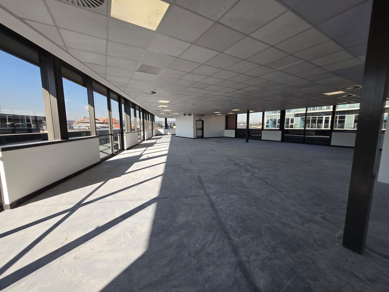A spacious, open-plan office area featuring a suspended ceiling, large floor-to-ceiling windows providing ample natural light, and an unfinished concrete floor.