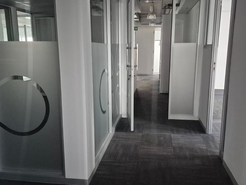 A modern office hallway featuring glass partition walls with frosted privacy detailing, carpet tile flooring, and a clean, professional layout.