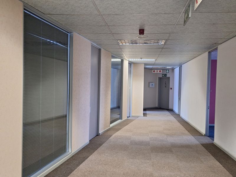 A clean, well-lit office hallway featuring carpeted flooring, suspended ceilings, and glass-partitioned office entrances.