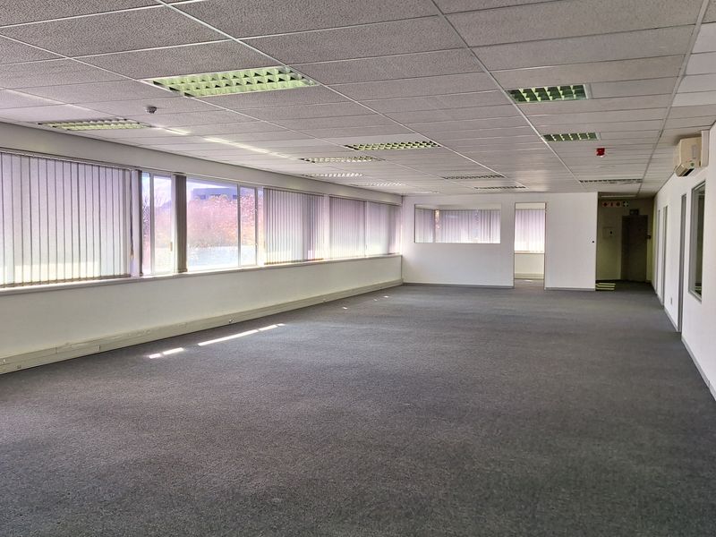 A spacious, open-plan office area featuring a suspended ceiling with recessed lighting, large windows with vertical blinds, and neutral carpeting throughout.