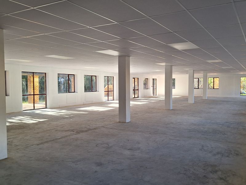 Spacious open-plan office area featuring a suspended ceiling, recessed lighting, structural columns, and large windows providing ample natural light.