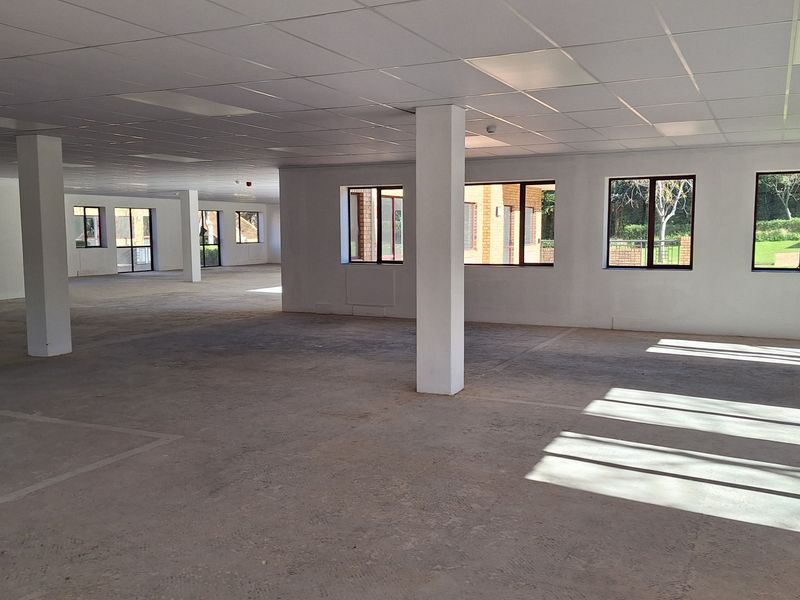 Spacious open-plan office area featuring a suspended ceiling, structural support columns, and large windows providing ample natural light.