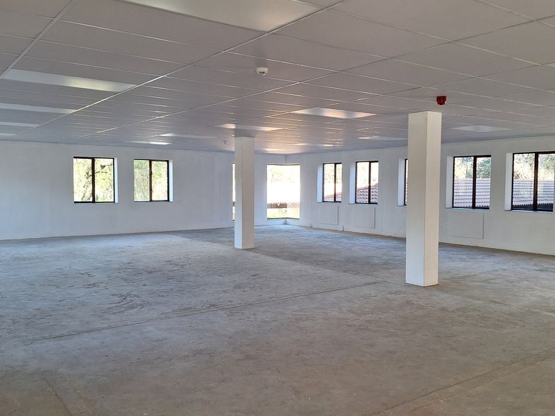 A spacious, open-plan office area featuring a suspended ceiling, recessed lighting, and structural columns, currently presented as a blank canvas with unfinished flooring.