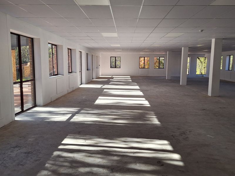 A large, open-plan office space featuring a suspended ceiling, structural columns, and abundant natural light through multiple windows and a glass sliding door.