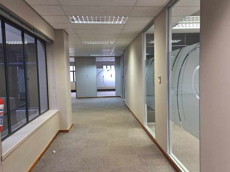A spacious office hallway featuring carpeted flooring, suspended acoustic ceiling tiles, and glass partition walls with frosted privacy decals.