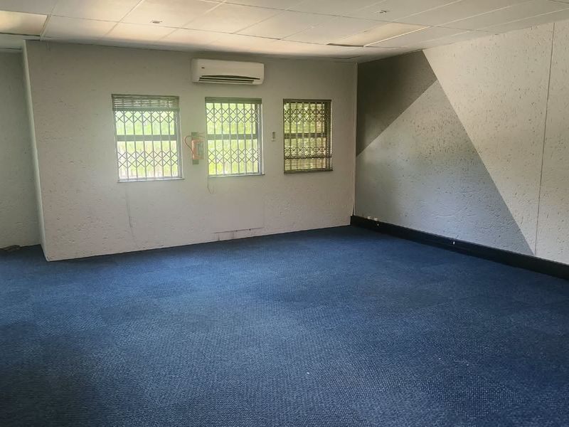 An empty office space featuring blue carpet flooring, a suspended ceiling, and split-system air conditioning, suitable for a professional workspace.