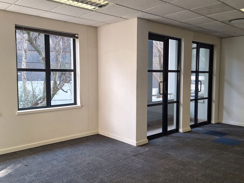 A bright, empty office space featuring suspended ceilings, recessed lighting, carpet tiles, and large aluminium-framed windows and doors providing natural light.