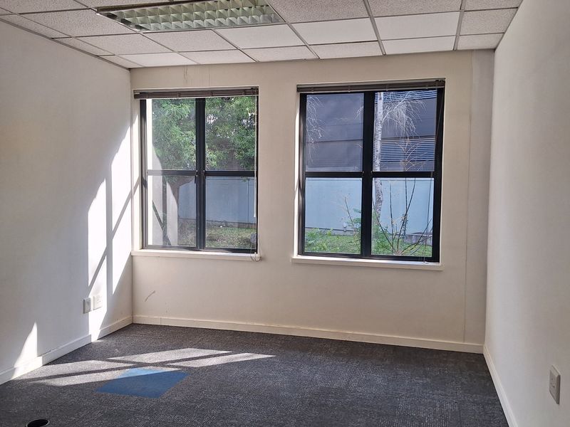 A vacant office space featuring a suspended ceiling, recessed lighting, carpet tiles, and large windows providing natural light.