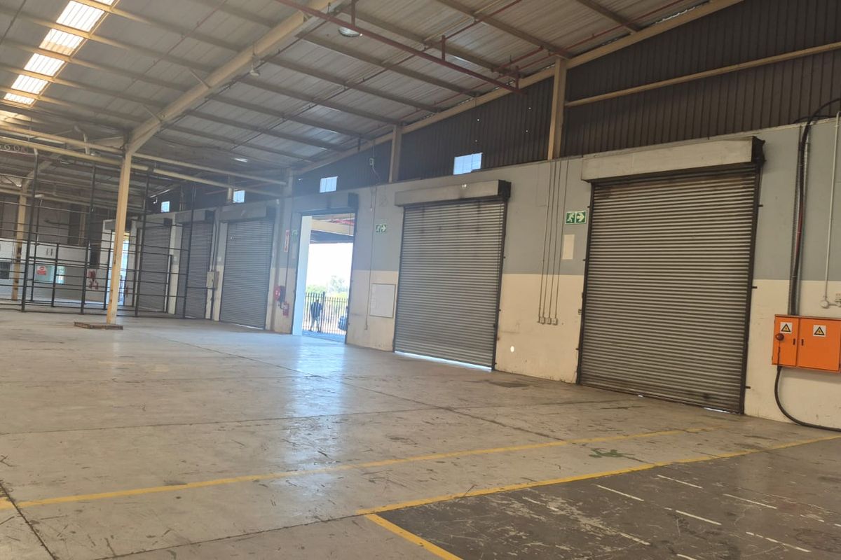 Spacious industrial warehouse unit featuring high ceilings, concrete flooring, multiple roller shutter doors, and natural light through skylights.