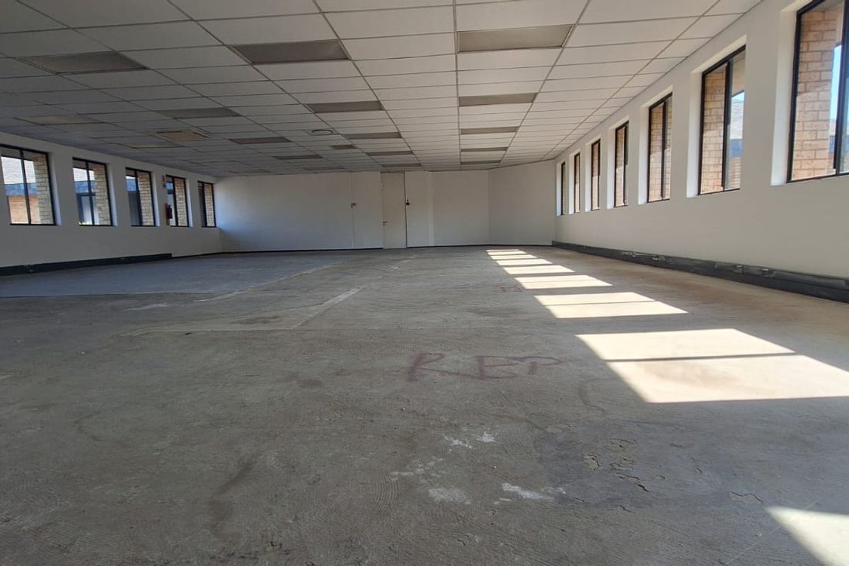 A large, vacant open-plan office space featuring a suspended ceiling, extensive natural light from multiple windows, and unfinished concrete flooring.