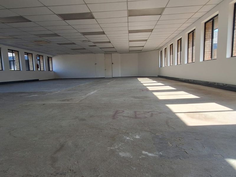 A large, vacant open-plan office space featuring a suspended ceiling, extensive natural light from multiple windows, and unfinished concrete flooring.