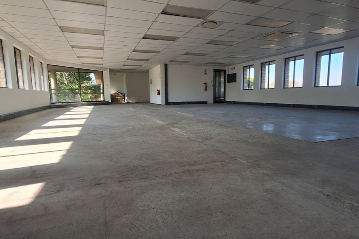 A large, open-plan office space featuring a suspended ceiling, extensive natural lighting from multiple windows, and unfinished concrete flooring.