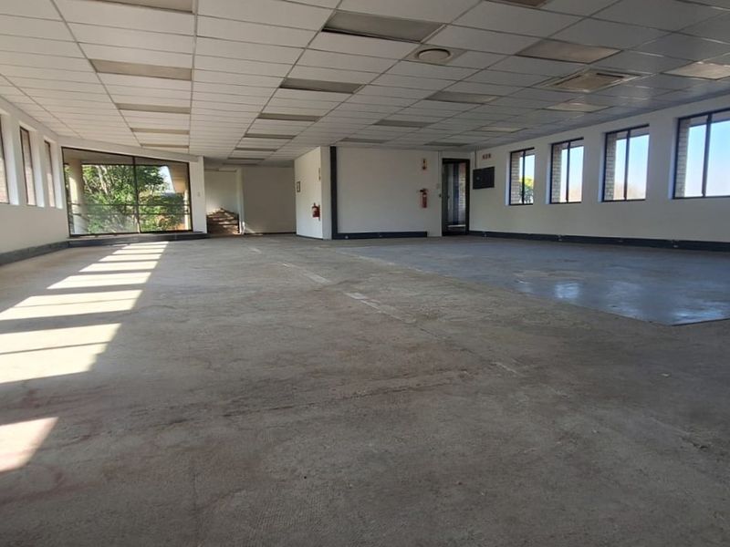 A large, open-plan office space featuring a suspended ceiling, extensive natural lighting from multiple windows, and unfinished concrete flooring.