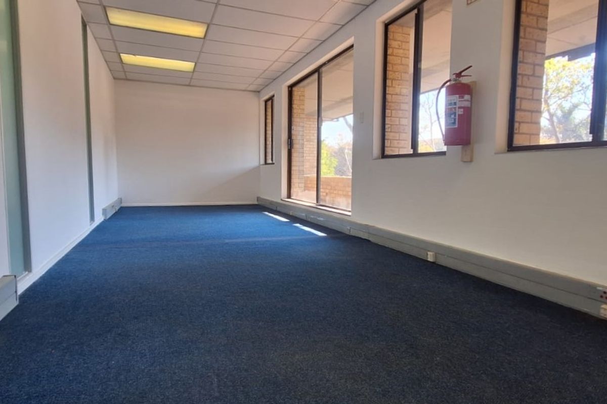 An empty, open-plan office space featuring blue carpeting, suspended ceilings with recessed lighting, and large windows providing natural light.