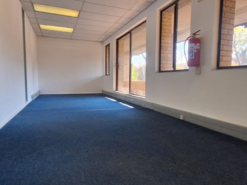 An empty, open-plan office space featuring blue carpeting, suspended ceilings with recessed lighting, and large windows providing natural light.
