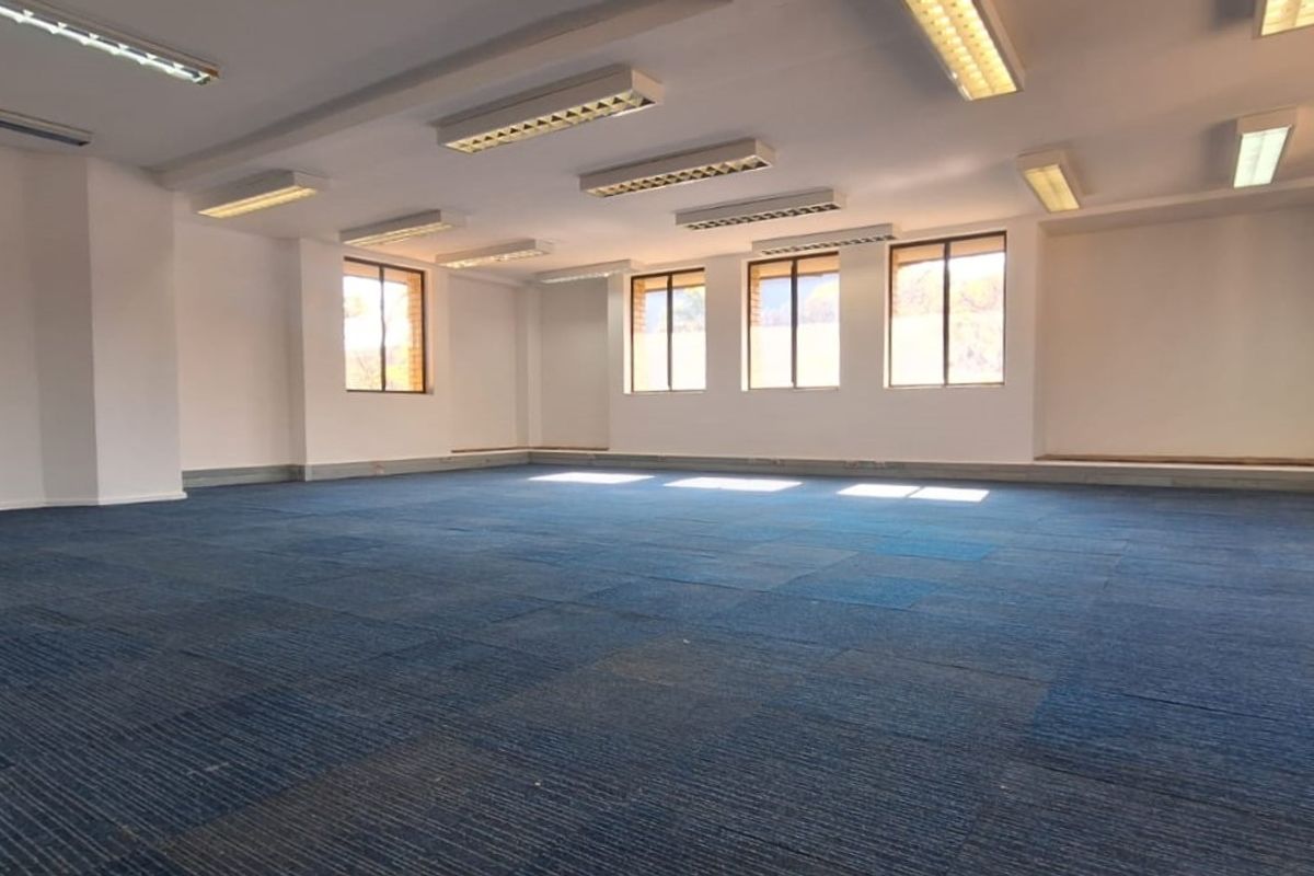 A spacious, vacant open-plan office area featuring blue carpet tiles, multiple windows for natural light, and overhead fluorescent lighting fixtures.