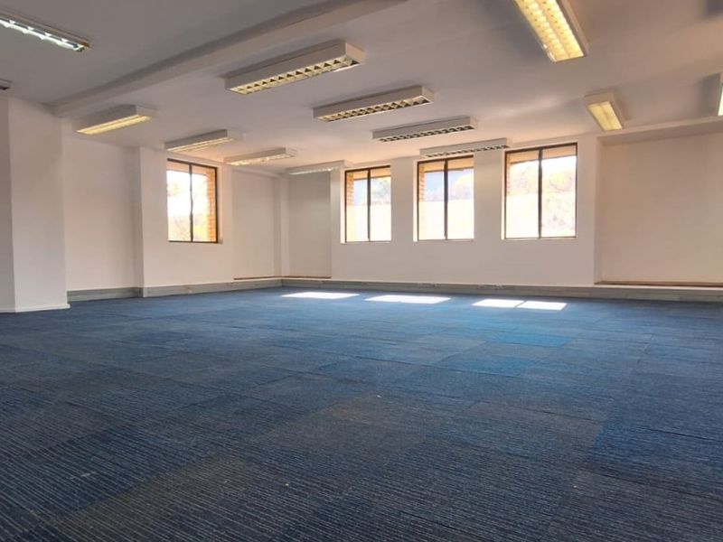 A spacious, vacant open-plan office area featuring blue carpet tiles, multiple windows for natural light, and overhead fluorescent lighting fixtures.