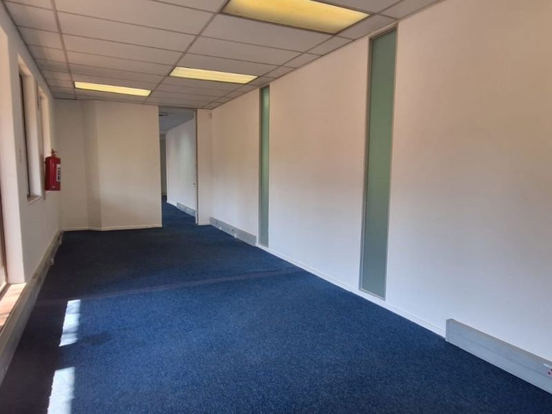 A vacant office space featuring blue carpeting, a suspended ceiling with recessed lighting, and large windows providing natural light.