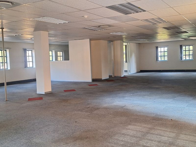 A spacious, open-plan office area featuring a suspended ceiling, recessed lighting, and carpet tile flooring with multiple windows providing natural light.