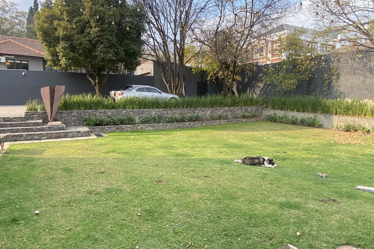 Creative office space to rent in Parktown North, Johannesburg - Photo 4