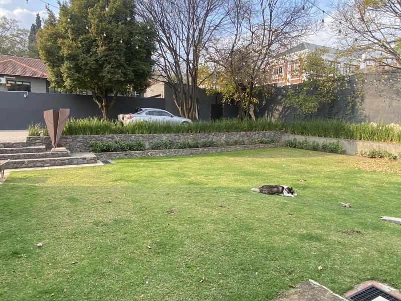 Creative office space to rent in Parktown North, Johannesburg - Photo 4
