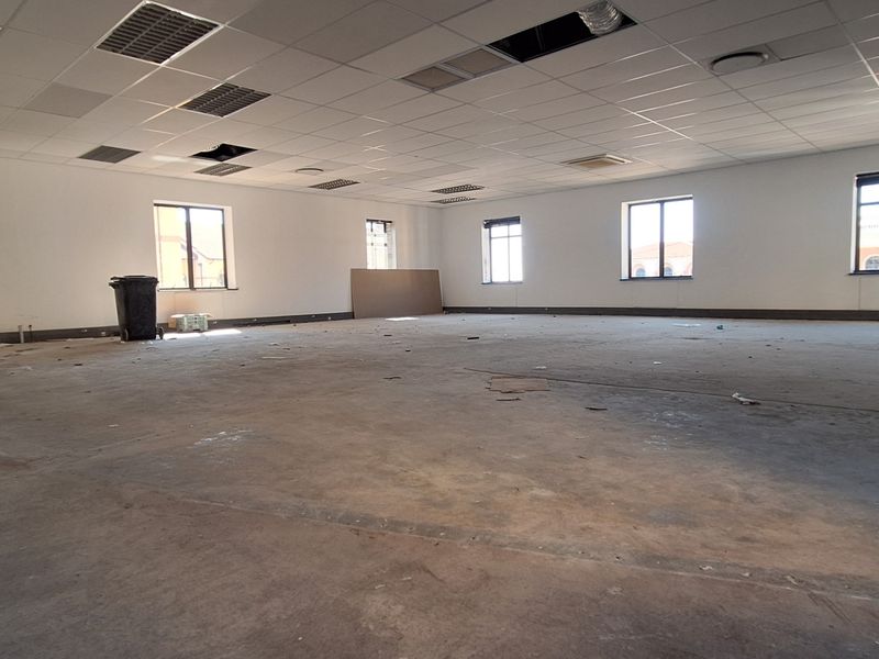 A large, open-plan office space featuring a suspended ceiling with missing tiles and unfinished concrete flooring, offering a blank canvas for customization.