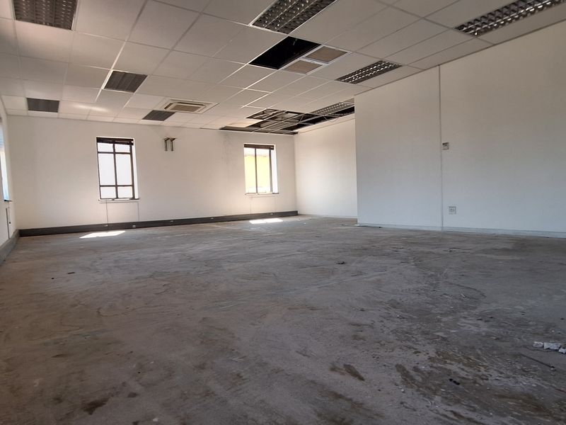 An empty, open-plan office space featuring a suspended ceiling with recessed lighting and unfinished concrete flooring, requiring maintenance and cosmetic updates.
