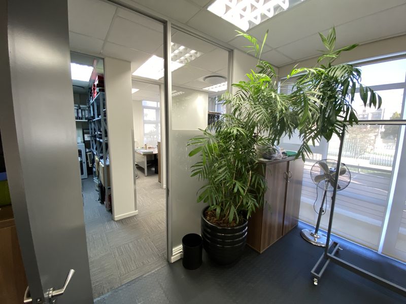 A professional office space featuring glass partitions, carpeted flooring, suspended ceilings with recessed lighting, and large windows providing natural light.