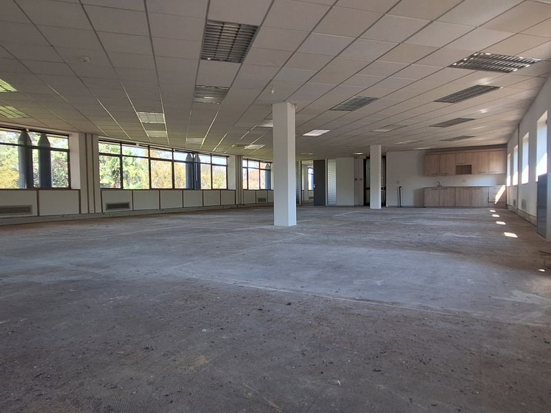 Spacious open-plan office area featuring a suspended ceiling, large windows for natural light, and a small built-in kitchenette unit.