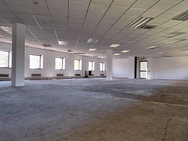 A large, open-plan office space featuring a suspended ceiling, recessed lighting, structural columns, and expansive windows, currently in a shell condition.