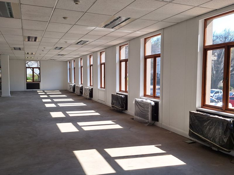 A spacious, empty office area featuring a suspended ceiling, recessed lighting, and multiple timber-framed windows providing ample natural light.