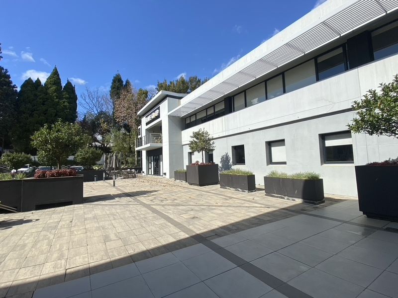 A well-maintained commercial building exterior featuring a paved courtyard, integrated fixed planters, and modern architectural shading elements.