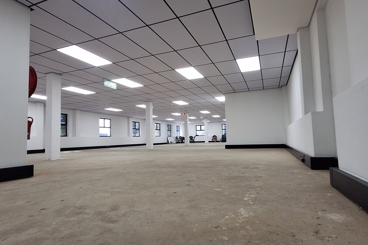 A spacious, open-plan office area featuring a suspended ceiling with recessed lighting, structural columns, and unfinished concrete flooring.