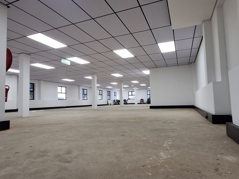 A spacious, open-plan office area featuring a suspended ceiling with recessed lighting, structural columns, and unfinished concrete flooring.