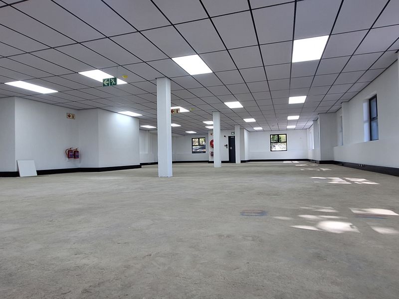 A large, open-plan office space featuring a suspended ceiling, recessed lighting, and structural columns, currently presented as a blank canvas.