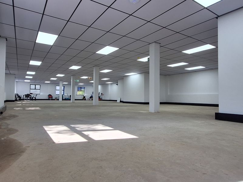 A spacious, open-plan office area featuring a suspended ceiling, recessed lighting, and structural columns, offering a versatile workspace ready for custom fit-out.